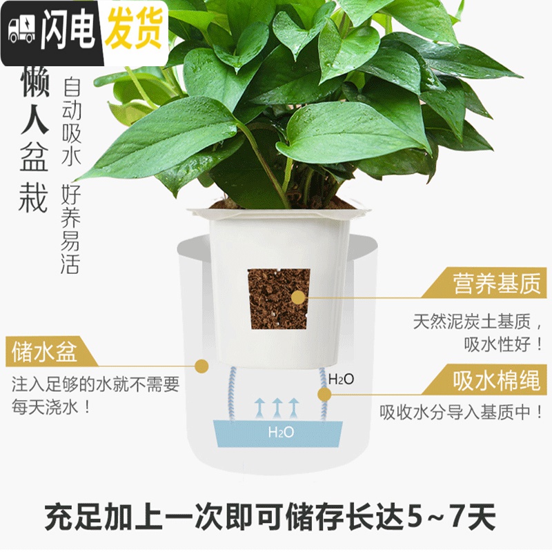 三维工匠免浇水花盆自吸水创意个性六角绿萝花盆室内小号可爱懒人花盆 北欧米 U05(内径10cm)花盆容器高清大图