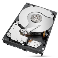 希捷(Seagate)10TB 256MB 7200RPM 网络存储(NAS)硬盘 SATA接口 希捷酷狼IronWolf系列(ST10000VN0008)私有云