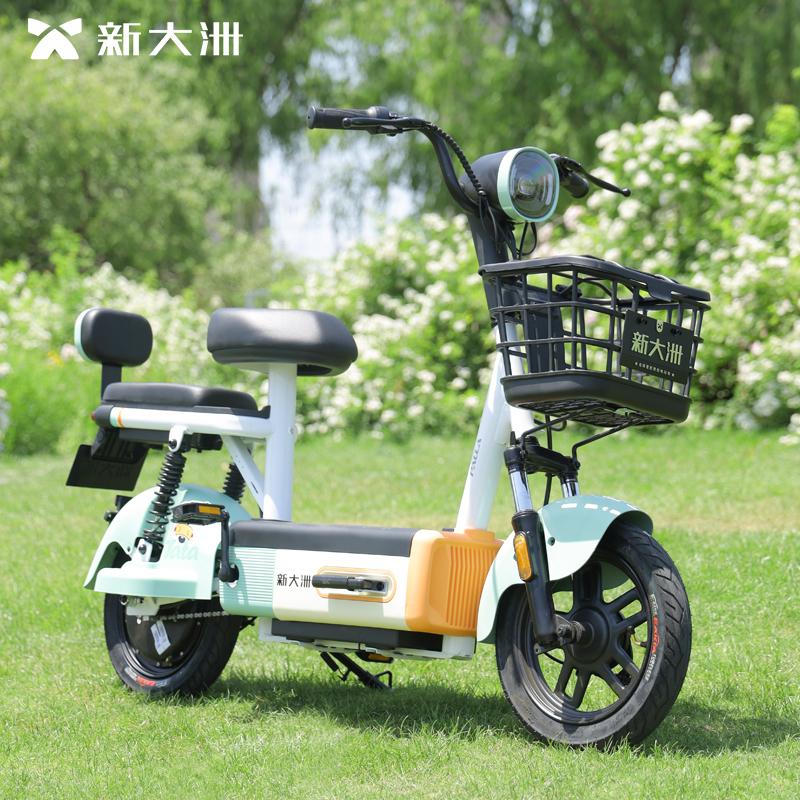 派乐/PALLA 塔塔 新国标48V18Ah石墨烯电动自行车成人超长续航二轮踏板电瓶车 水雾桃粉