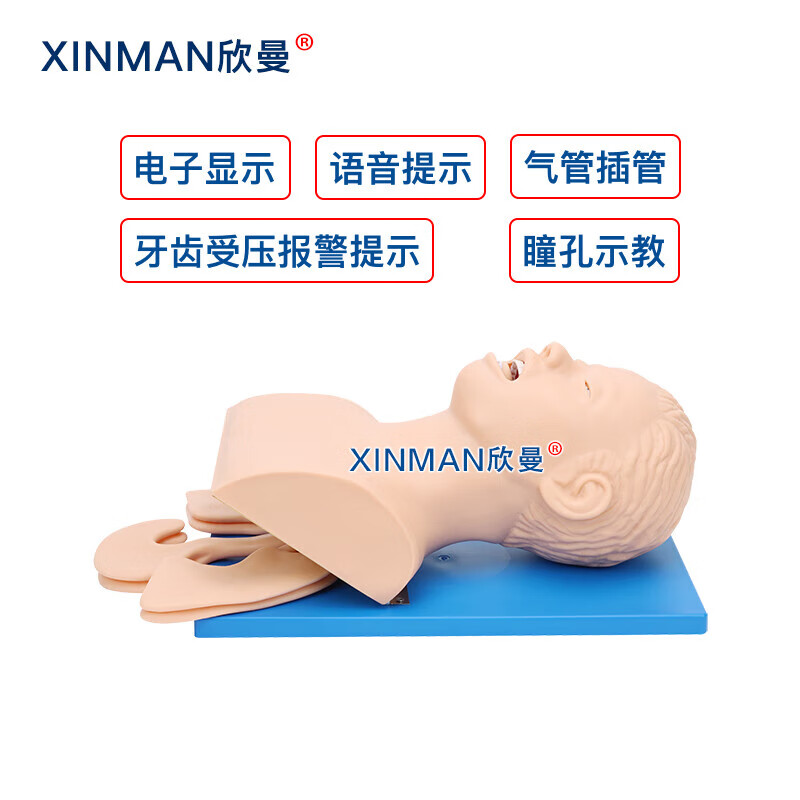 欣曼科教 电子人体气管插管操作训练模型 高级气道管理模拟人XM-5100高清大图