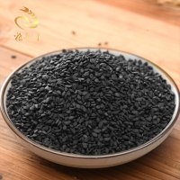 粮年隆黑芝麻新货纯黑芝麻干净颗粒饱满生黑芝麻五谷杂粮500g
