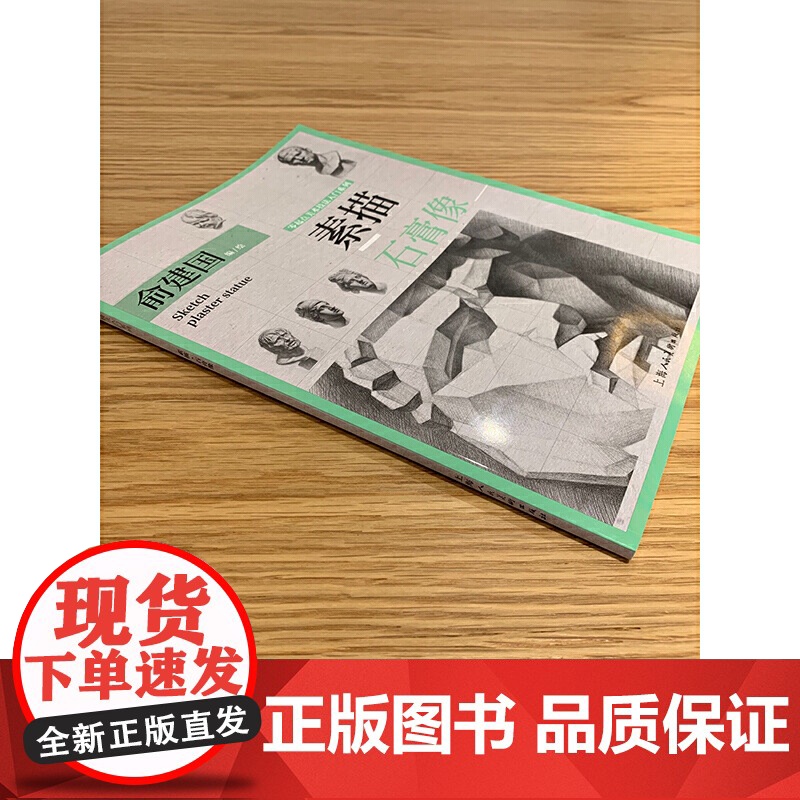 素描·石膏像——零起点美术技法入门系列高清大图