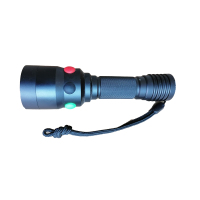 立华王LH3700手电