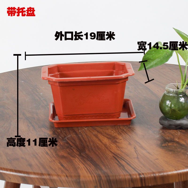 拍5发6大号长方形大花盆种菜盆塑料加厚盆景榕树盆批发树脂盆 2个花盆 ABD200(长19厘米)不带托盘