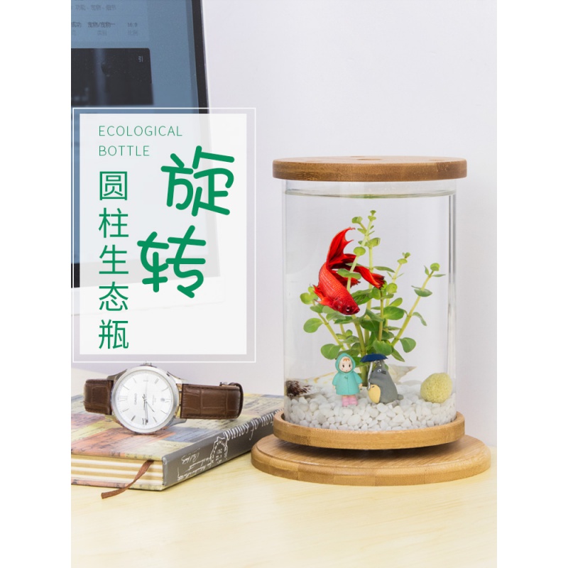 鱼缸创意桌面小型透明玻璃斗鱼缸迷你精致懒人造景家用生态瓶高清大图