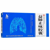飞云岭 益肺止咳胶囊 0.3g*24粒/盒 养阴润肺祛痰 慢性支气管炎 咳嗽