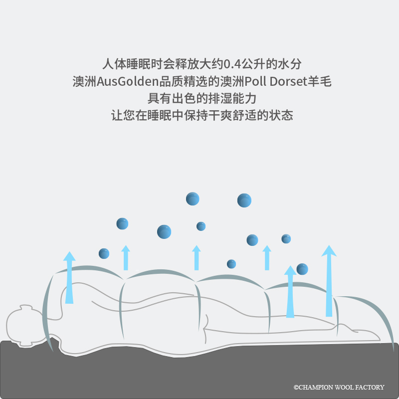 AusGoldEN澳洲制造伯爵系列羊毛四季被加厚保暖双人透气恒温被芯
