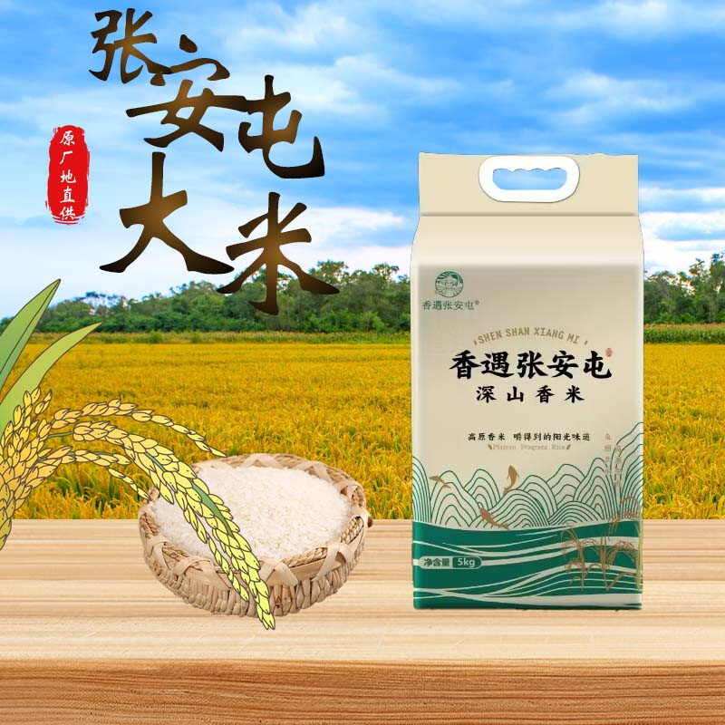 香遇张安屯软香米 稻鱼共生绿色种植软香米晶莹饱满煮饭喷香真空包装5kg/袋 5kg