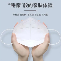N95口罩 10个/组