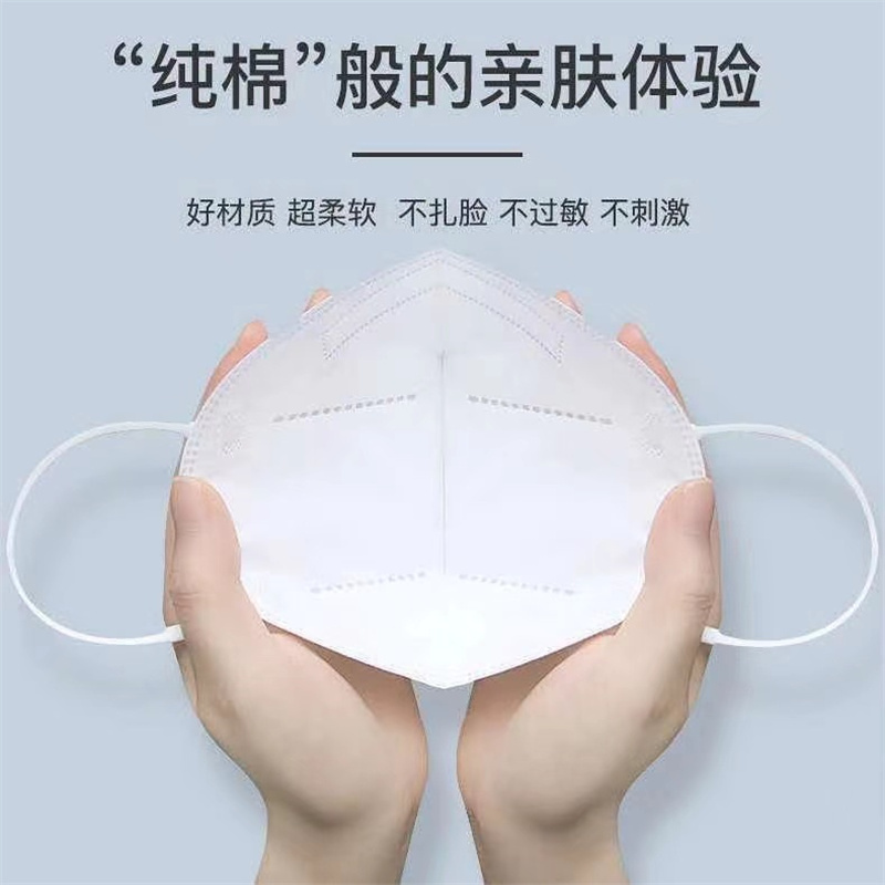 N95口罩 10个/组