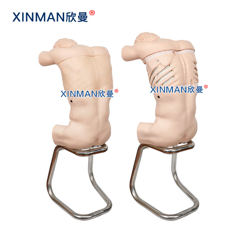 欣曼科教 胸腔背部穿刺训练模拟人 胸腔穿刺操作模型XM-LXQA高清大图