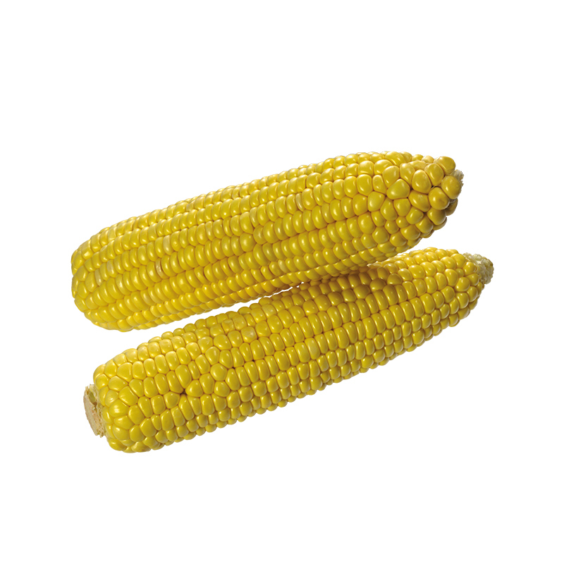 [江苏扶贫][财政集采][睢宁] 双溪翠黄甜水果玉米 50根装高清大图