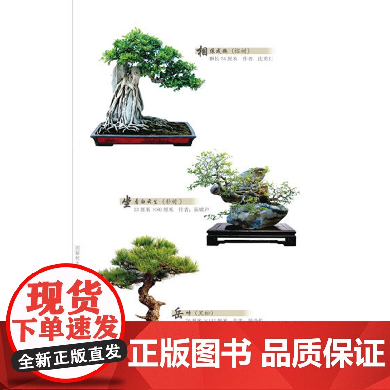 [店] 图解树木盆景制作与养护 盆景入门教程书 盆景制作技巧参考书 树木盆景造型艺术书 盆景养护管理书籍高清大图