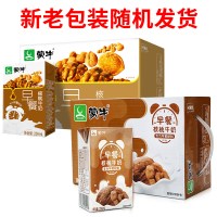 蒙牛早餐奶核桃奶味250ml*16盒牛奶整箱装成人学生儿童营养乳制品