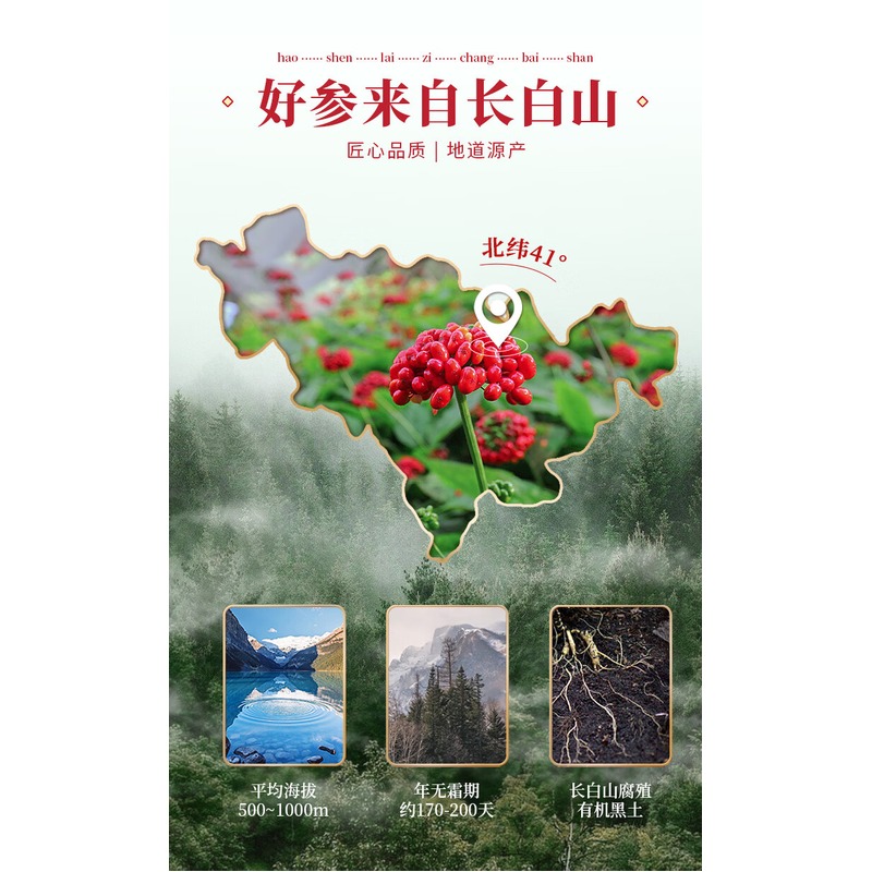 长白山人参 红参高丽参 原支200g 200g/盒高清大图