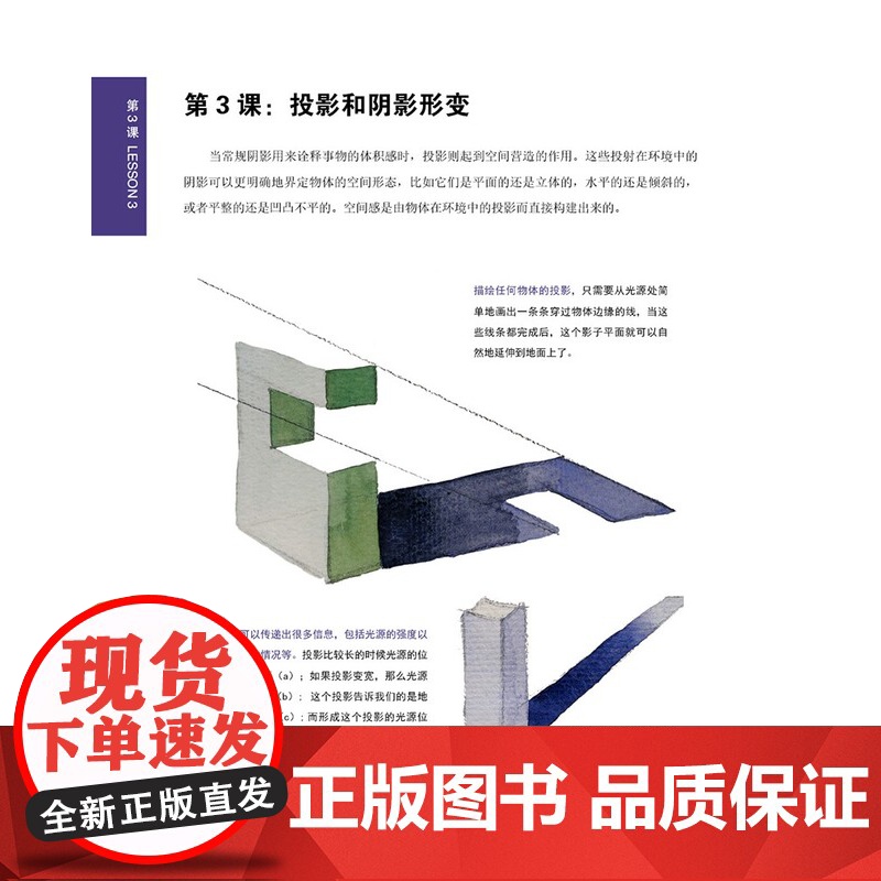 30天学会明暗关系 素描油画明暗关系概念理论绘画自学基础入门技巧教学艺联考高考美术教材分步解析进阶教程书 上海人民美术出高清大图