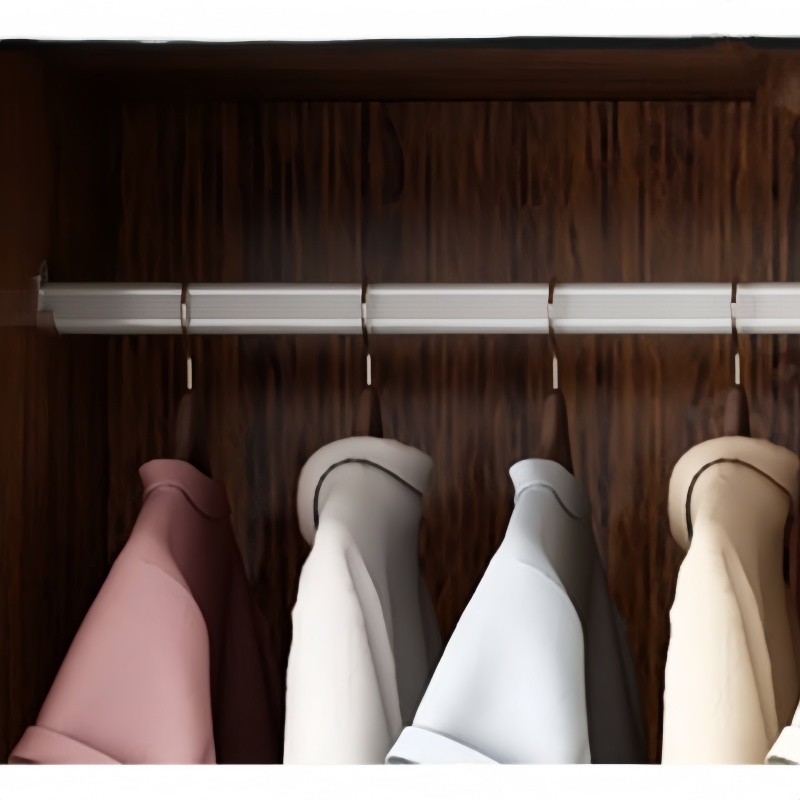 演发 衣柜两门 台高清大图