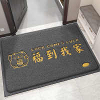 入户门地垫出入平安门垫进门家用丝圈脚垫大门口玄关地毯防滑垫子