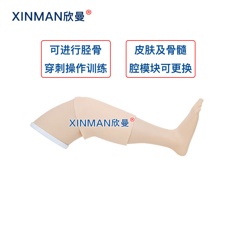 欣曼科教 胫骨穿刺模拟训练模块 骨髓腔穿刺输液训练模型XM-GC4高清大图