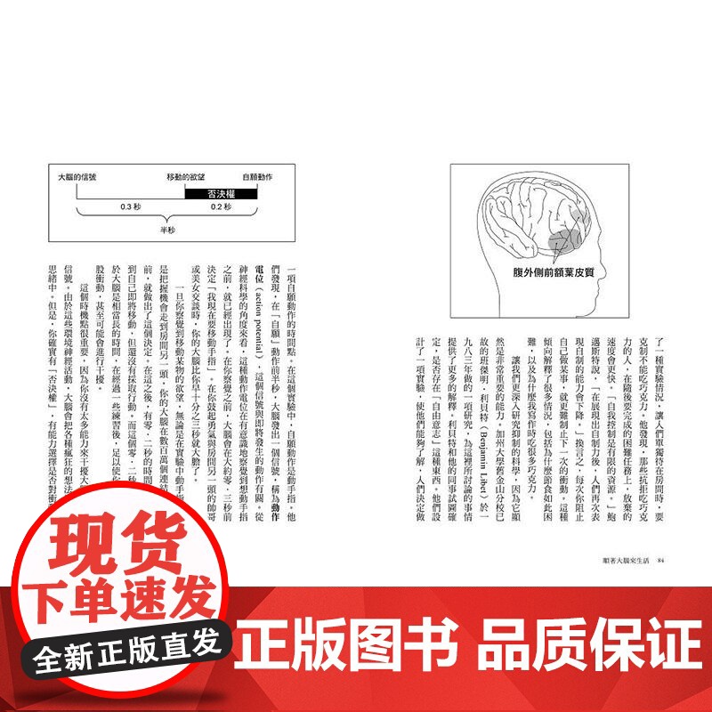 []顺着大脑来生活: 从起床到就寝,用大脑喜欢的模式,活出创意、健康与生产力的最高生活法 港台原版 大衛.洛克高清大图
