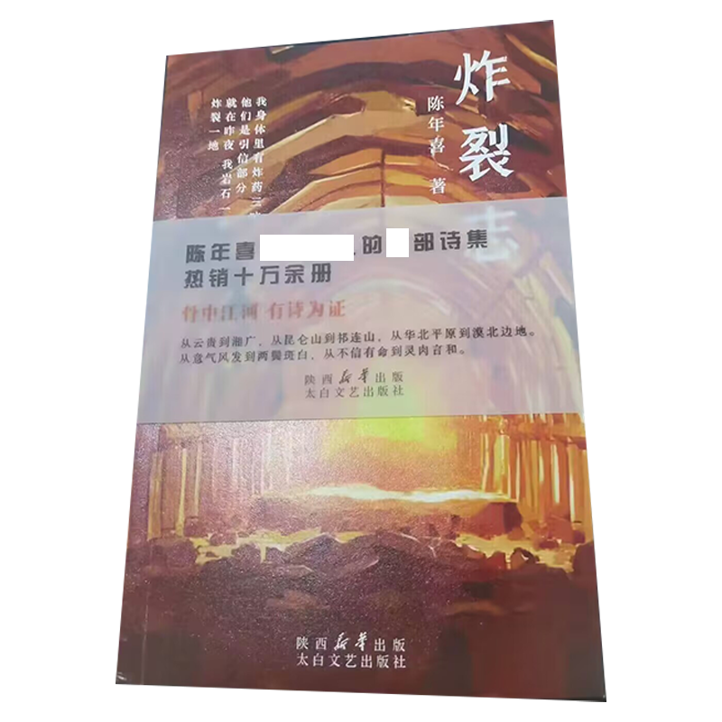 献给无名者的记忆 [正版] 炸裂志 陈年喜 诗集 太白文艺出版社 我的诗篇当代工人诗歌选集 中国现代诗歌精选诗歌集人高清大图