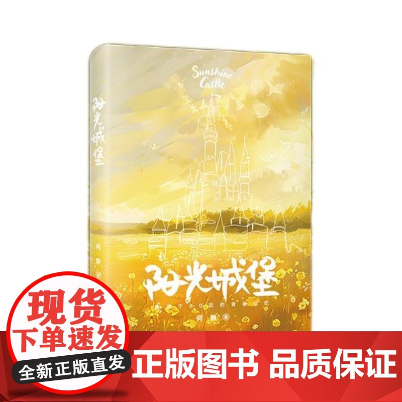 阳光城堡 校园青春文学情感与成长的故事 言情现代文学小说 高中生初中生课外书广东人民出版社高清大图