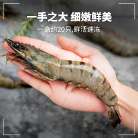 品珍鲜活 大号黑虎虾净重800g 冷冻生鲜虾进口海鲜水产约25-28只装海鲜大虾