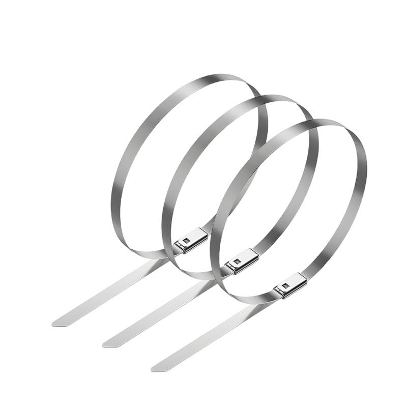 万梓 不锈钢扎带 4.6*650mm 根高清大图