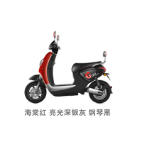 新日(sunra)电动车 龟王系列 小柚果48V20Ah