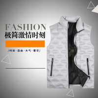 羽绒棉马甲男装秋冬季背心马夹男士韩版休闲装潮流坎肩羽绒外套马甲 M82-103斤可以穿 羽绒灰色A色羽绒马甲