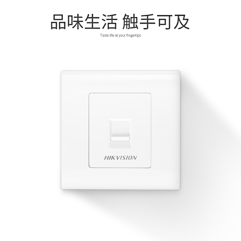 海康威视超五类六类网络模块插座通用型面板网络电话语音面板超5类6类模块网络电脑面板 双口 DS-ZBFP2-B