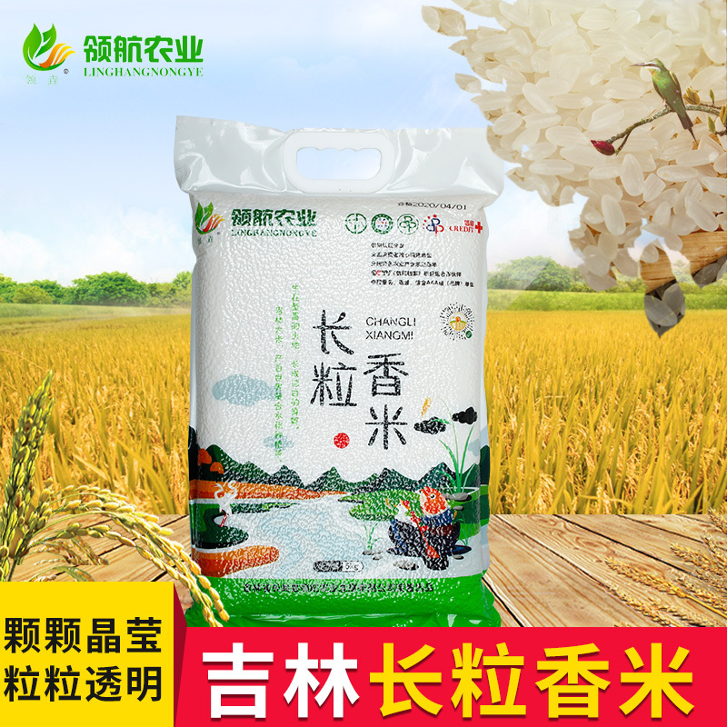 领垚 吉林长粒香米5kg/袋 优质一级大米东北长粒香大米 原产直销香米家庭装10斤