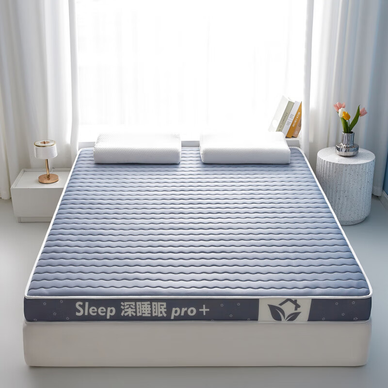 梦莺 记忆棉乳胶床垫加厚床垫褥子 (厚约5cm) 100*200cm(计价单位:张)高清大图