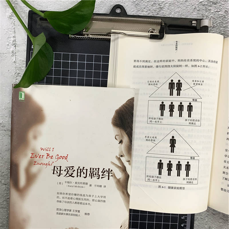 [正版] 樊登推 荐 母爱的羁绊 家庭关系处理心理学父母教育心灵修养人际关系书籍 机械工业出版社高清大图