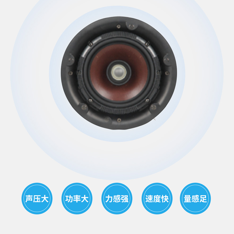 润普(Runpu)国产化音视频会议室展厅教室礼堂报告厅/定阻吊顶音响6英寸同轴音箱喇叭扬声器一只RP-XDY02