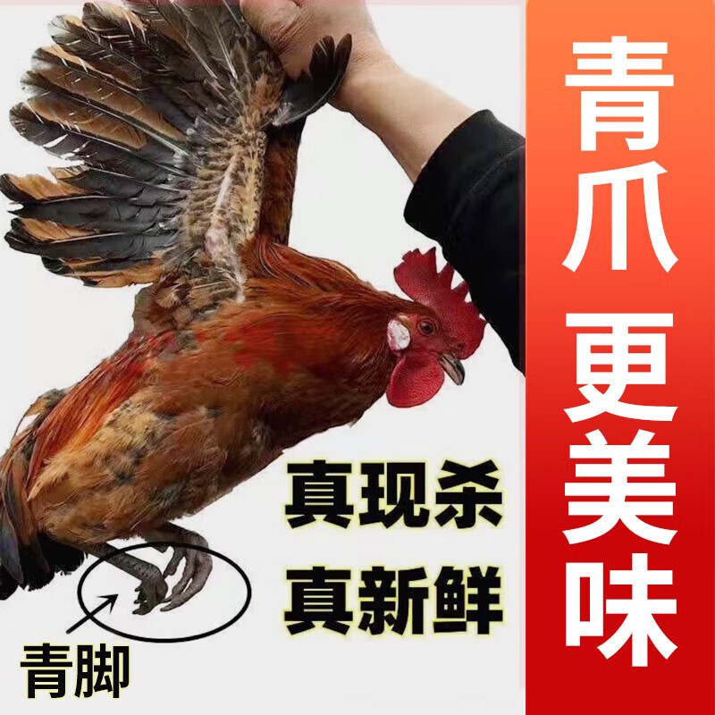 黑脚公鸡 袋装500g高清大图