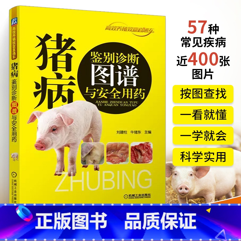 【正版】猪病鉴别诊断图谱与安全用药 养猪技术书大全猪病诊治与用药兽药兽医猪养殖猪饲料配方图解与鉴别书籍养猪场设计教程母