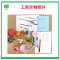 有树 YSXL-L01 早期婴幼儿语言筛查量表工具箱专业早教教具