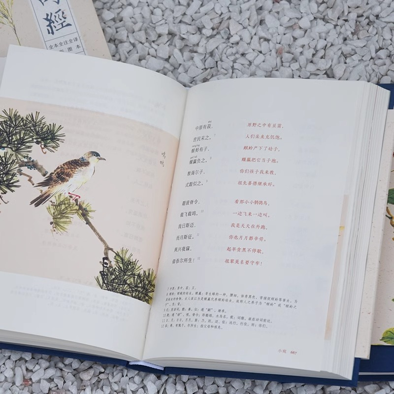 [正版] 诗经 全3册风雅颂三卷 原文译文注释插图 诗经原著完整版 给孩子的诗经注音版译注 岳麓书社 详尽赏析传统