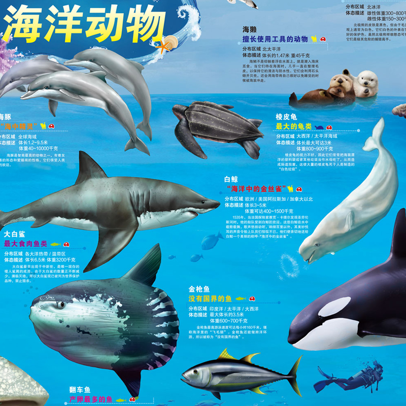 [共2张]史前动物+海洋动物 [正版]2024新版2张 史前动物地图+海洋动物地图墙贴儿童房超大挂图大尺寸高清远古恐龙书高清大图