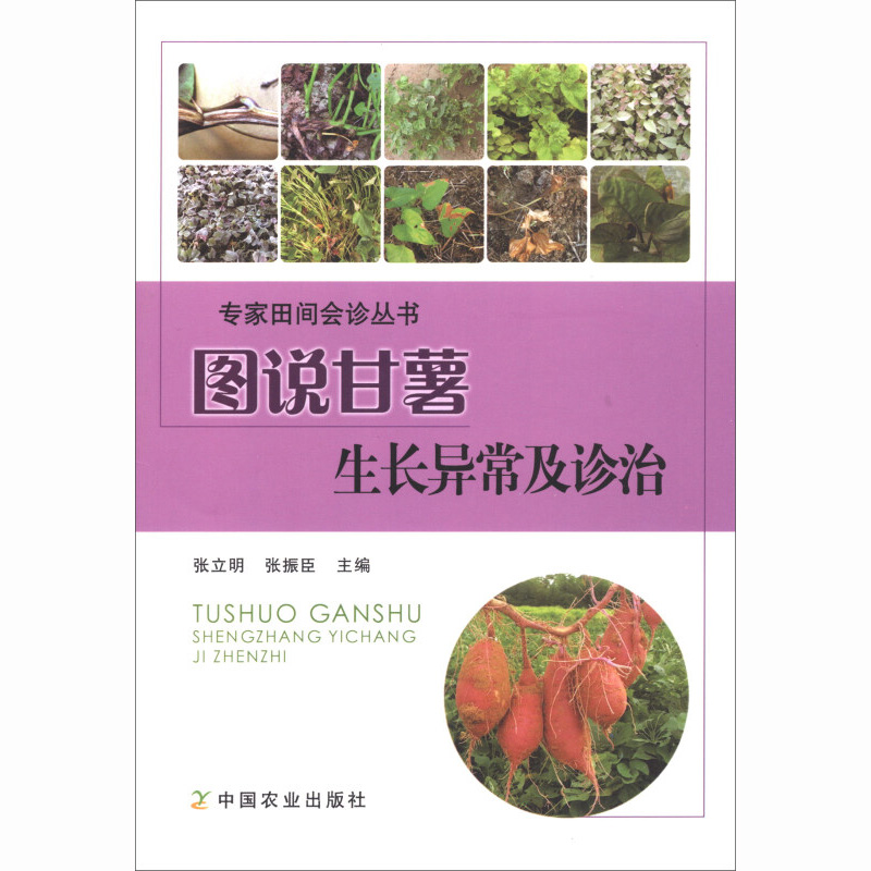 [醉染正版]图说甘薯生长异常及诊治 张立明 红薯山芋地瓜高效栽培种植技术书籍 疾病防治病虫害防治大全 中国农业出版社高清大图