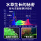 led鱼缸灯架草缸灯水族箱led节能防溅水照明灯支架灯鱼水草灯防水