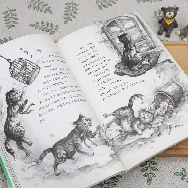 正版新书]巷子里的野猫 -西顿动物小说全集西顿9787544843911高清大图