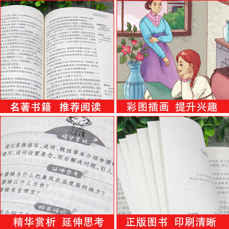 木偶奇遇记 [正版]全集绿山墙的安妮原版 四年级课外书阅读 五年级课外阅读书籍阅读经典书目小学生儿童书籍读物青少年无障碍