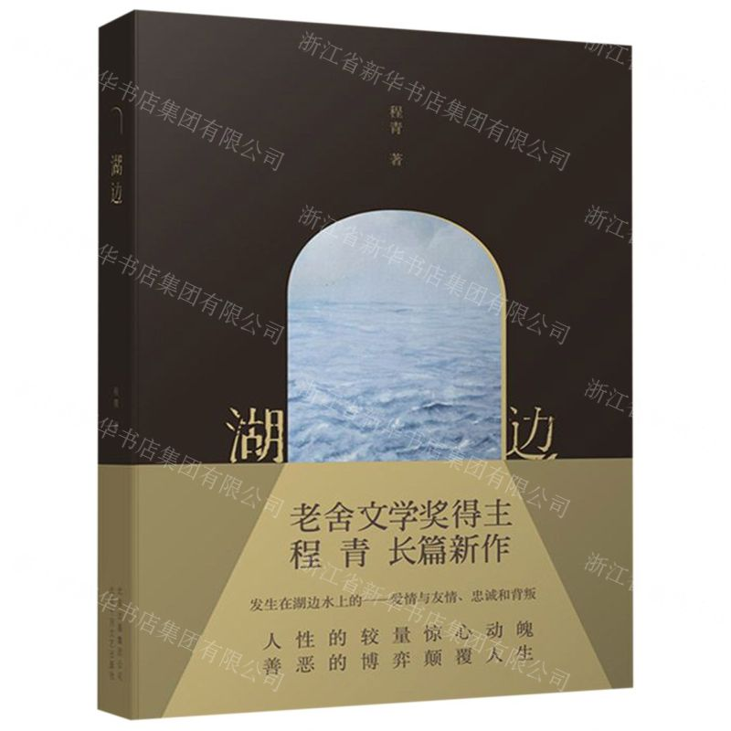 [M]湖边(精)-9787530219263高清大图