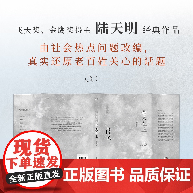苍天在上(国家图书奖、飞天奖、金鹰奖得主陆天明经典作品,反腐题材电视剧《苍天在上》原著小说)高清大图