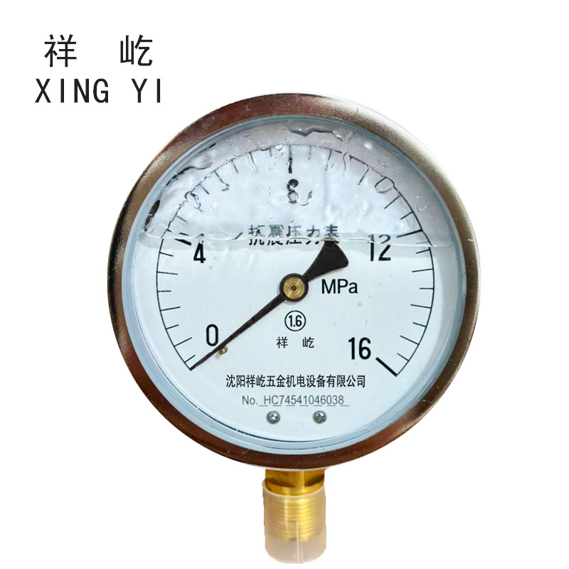 祥屹+耐震压力表检测定制型+YTN100+块 0-16Mpa