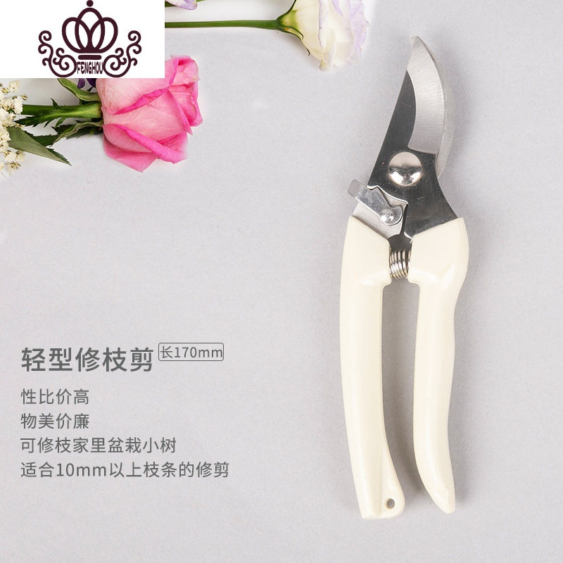 封后日式花艺剪刀池坊插花剪家用修枝剪小原流园艺剪花艺师专用剪花剪参数配置 规格 性能 功能 苏宁易购