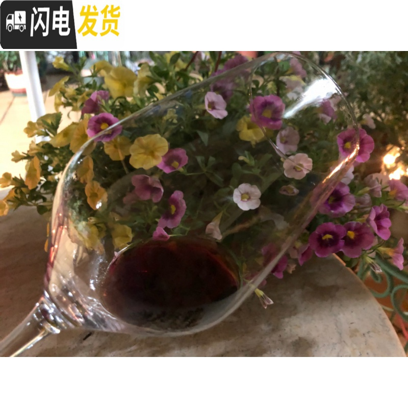 三维工匠郁金香大号水晶杯红酒杯套装 醒酒器大号 葡萄酒杯 高脚杯家用 6B四支+企鹅