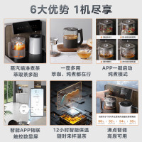 美的(Midea)茶吧机 饮水机家用一体柜 下置式高端办公用烧水壶 蒸汽喷淋煮茶YR1629S-X[APP远程控制]